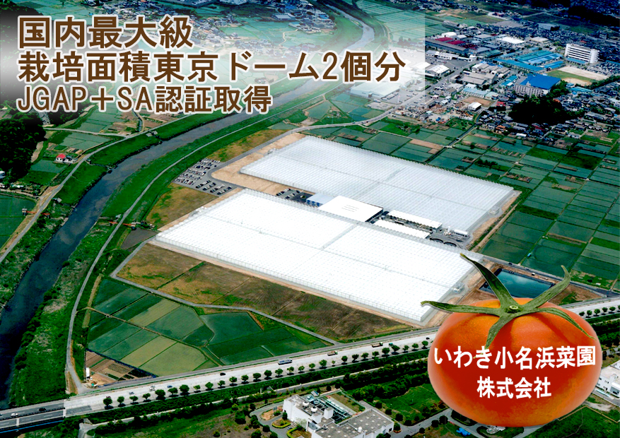 いわき小名浜菜園株式会社